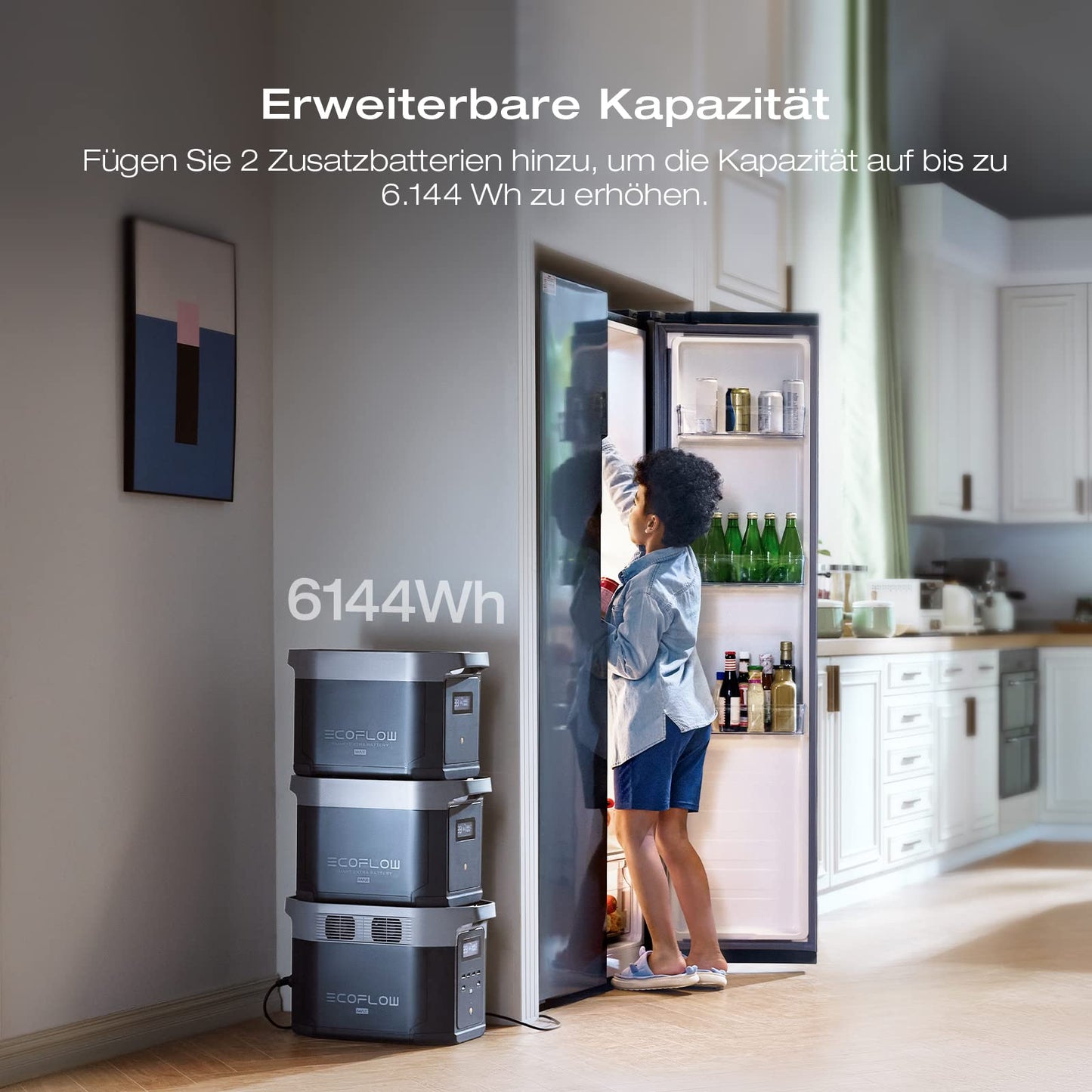 EcoFlow DELTA 2 Max Powerstation 2048Wh, erweiterbar bis 6kWh, 3000W Ausgangsleistung, 80% Ladung in 1h, Solargenerator für Zuhause & Camping